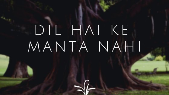 Dil hai k manta nahe song download mp3 first Dil hai k manta nahe song download mp3 first